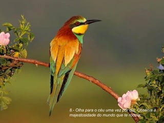 8.- Olha para o céu uma vez por dia. Observa a majestosidade do mundo que te rodeia.  