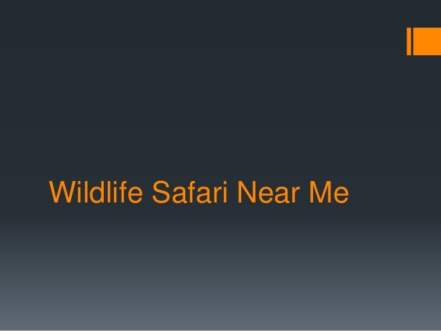 outdoor safari near me outdoor safari near me