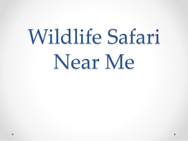 Wildlife Safari Near Me