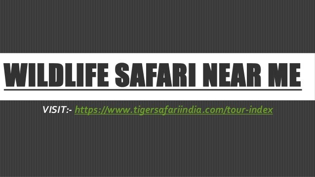 charlie safari near me charlie safari near me