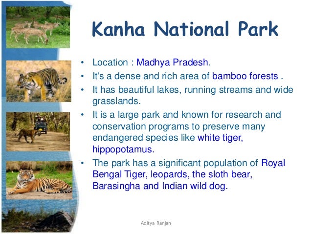 Wildlife Sanctuaries And National Park In India Wildlife Sanctuaries And National Park In India