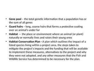 • Gene pool – the total genetic information that a population has or
the sum of all genes
• Guard hairs – long, coarse hairs that forms a protective coating
over an animal’s under fur
• Habitat — the place or environment where an animal (or plant)
naturally or normally lives and raises their young ones
• Habitat Conservation Plan - A plan which outlines the impact of a
listed species living within a project area, the steps taken to
mitigate the project's impacts and the funding that will be available
to implement these measures, alternatives to the project and why
they were not adopted, and any other measures that the Fish and
Wildlife Service has determined to be necessary for the plan.
 