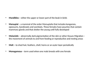 • Mandibles – either the upper or lower part of the beak in birds
• Marsupial – a mammal of the order Marsupialia that includes kangaroos,
opossums, bandicoots and wombats. These females have pouches that contain
mammary glands and that shelter the young until fully developed
• Melanistic – abnormally dark pigmentation of the skin or other tissues Migration –
the movement of animals to and from feeding or reproductive and nesting areas
• Molt – to shed hair, feathers, shell, horns or an outer layer periodically
• Monogamous – term used when one male breeds with one female
 