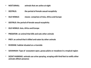 • NOCTURNAL: animals that are active at night
• OESTRUS: the period of female sexual receptivity
• OLD WORLD: means comprises of Asia, Africa and Europe
• OESTRUS: the period of female sexual receptivity
• OLD WORLD: Asia, Africa and Europe
• PREDATOR: an animal that kills and eats other animals
• PREY: an animal that is killed and eaten by other animals
• RIVERINE: habitat situated on a riverside
• SAVANNAH: Type of ecosystem open, grassy plains or meadows in a tropical region
• SCENT MARKING: animals use urine spraying, scraping with hind feet to notify other
animals oftheir presence
 