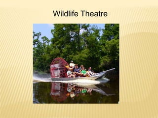 Wildlife Theatre ,[object Object]
