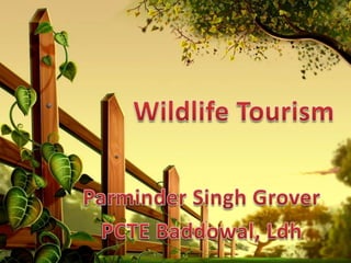 Wildlife Tourism  Parminder Singh Grover PCTE Baddowal, Ldh 