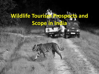 Wildlife Tourism Prospects and
Scope in India
 