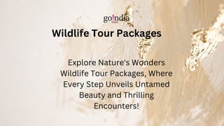 Wildlife Tour Packages
Explore Nature's Wonders
Wildlife Tour Packages, Where
Every Step Unveils Untamed
Beauty and Thrilling
Encounters!
 