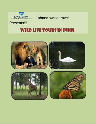 Labana world travel
Presents!!!
Wild life tours in India
 