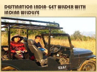 DESTINATION INDIA- GET WILDER WITH
INDIAN WILDLIFE
 