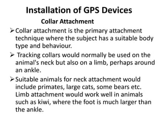 globel positioning system (GPS) in Wildlife | PPTX