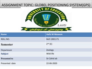 ASSIGNMENT TOPIC: GLOBEL POSITIONING SYSTEM(GPS)
Name Hafiz M Waseem
ROLL NO. Mcf-1901171
Semester 2nd (E)
Department Zoology
Subject Wild life
Presented to Sir Zahid ab
Presented date 22-06-2020
 