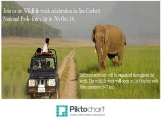 Wildlife week celebration in jim corbett national park