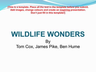 WILDLIFE WONDERS
By
Tom Cox, James Pike, Ben Hume
[This is a template. Place all the text in the template before you submit.
Add images, change colours and create an inspiring presentation.
Don’t just fill in this template!]
 