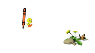 Locust - Locusta migratoria