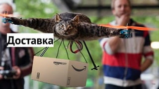 Доставка
159
 