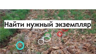 Найти нужный экземпляр
184
 