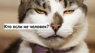 Кто если не человек?
 