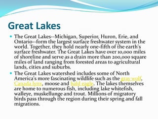 Great LakesThe Great Lakes--Michigan, Superior, Huron, Erie, and Ontario--form the largest surface freshwater system in the world. Together, they hold nearly one-fifth of the earth's surface freshwater. The Great Lakes have over 10,000 miles of shoreline and serve as a drain more than 200,000 square miles of land ranging from forested areas to agricultural lands, cities and suburbs.The Great Lakes watershed includes some of North America's more fascinating wildlife such as the gray wolf, Canada lynx, moose and bald eagle. The lakes themselves are home to numerous fish, including lake whitefish, walleye, muskellunge and trout. Millions of migratory birds pass through the region during their spring and fall migrations.