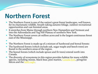 Northern ForestThe Northern Forest is one of the nation's great forest landscapes, well known for its charismatic wildlife, breath-taking autumn foliage, outdoor recreational opportunities and vast forested areas.  It stretches from Maine through northern New Hampshire and Vermont and into the Adirondacks and Tug Hill Plateau of northern New York.  The Northern Forest covers 26 million acres and is the largest continuous forest east of the Mississippi.  The Northern Forest is made up of a mixture of hardwood and boreal forests:The hardwood forests (which include oak, sugar maple and beech trees) are found in the southern areas of the region. The boreal forests (which include spruce and fir trees) extend north into Canada. The diversity of ecosystems in this region provides habitat for many wildlife species, including moose, black bear, pine marten, Canada lynx, peregrine falcon and the bald eagle.