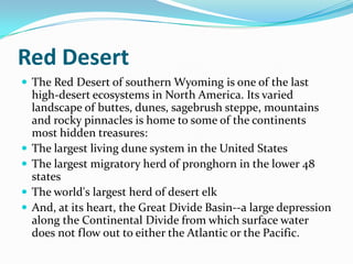 Red DesertThe Red Desert of southern Wyoming is one of the last high-desert ecosystems in North America. Its varied landscape of buttes, dunes, sagebrush steppe, mountains and rocky pinnacles is home to some of the continents most hidden treasures:The largest living dune system in the United States The largest migratory herd of pronghorn in the lower 48 states The world's largest herd of desert elk And, at its heart, the Great Divide Basin--a large depression along the Continental Divide from which surface water does not flow out to either the Atlantic or the Pacific. 