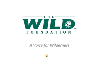 A Voice for Wilderness  