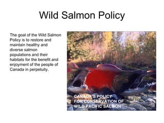 Wild Salmon Policy CANADA’S POLICY FOR CONSERVATION OF WILD PACIFIC SALMON The goal of the Wild Salmon Policy is to restore and maintain healthy and diverse salmon populations and their habitats for the benefit and enjoyment of the people of Canada in perpetuity. 