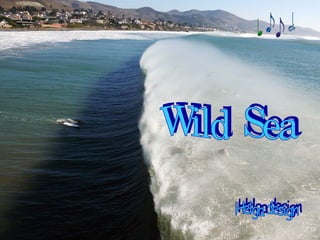 Helga design Wild  Sea 