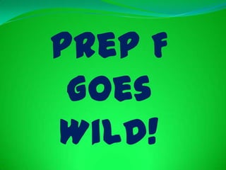 Prep F Goes Wild! 