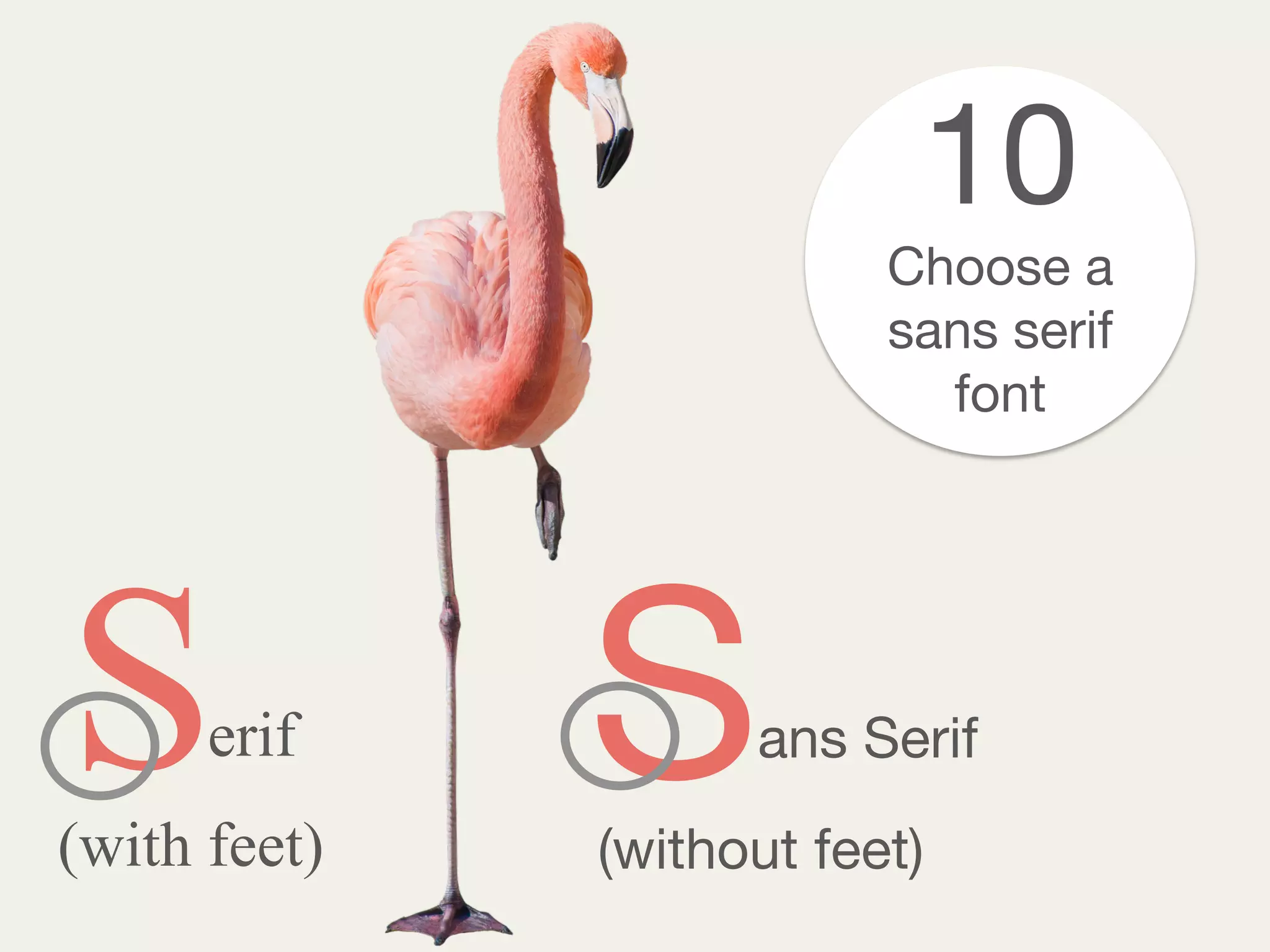 S Serif ans Serif
(with feet) (without feet)
10
Choose a
sans serif
font