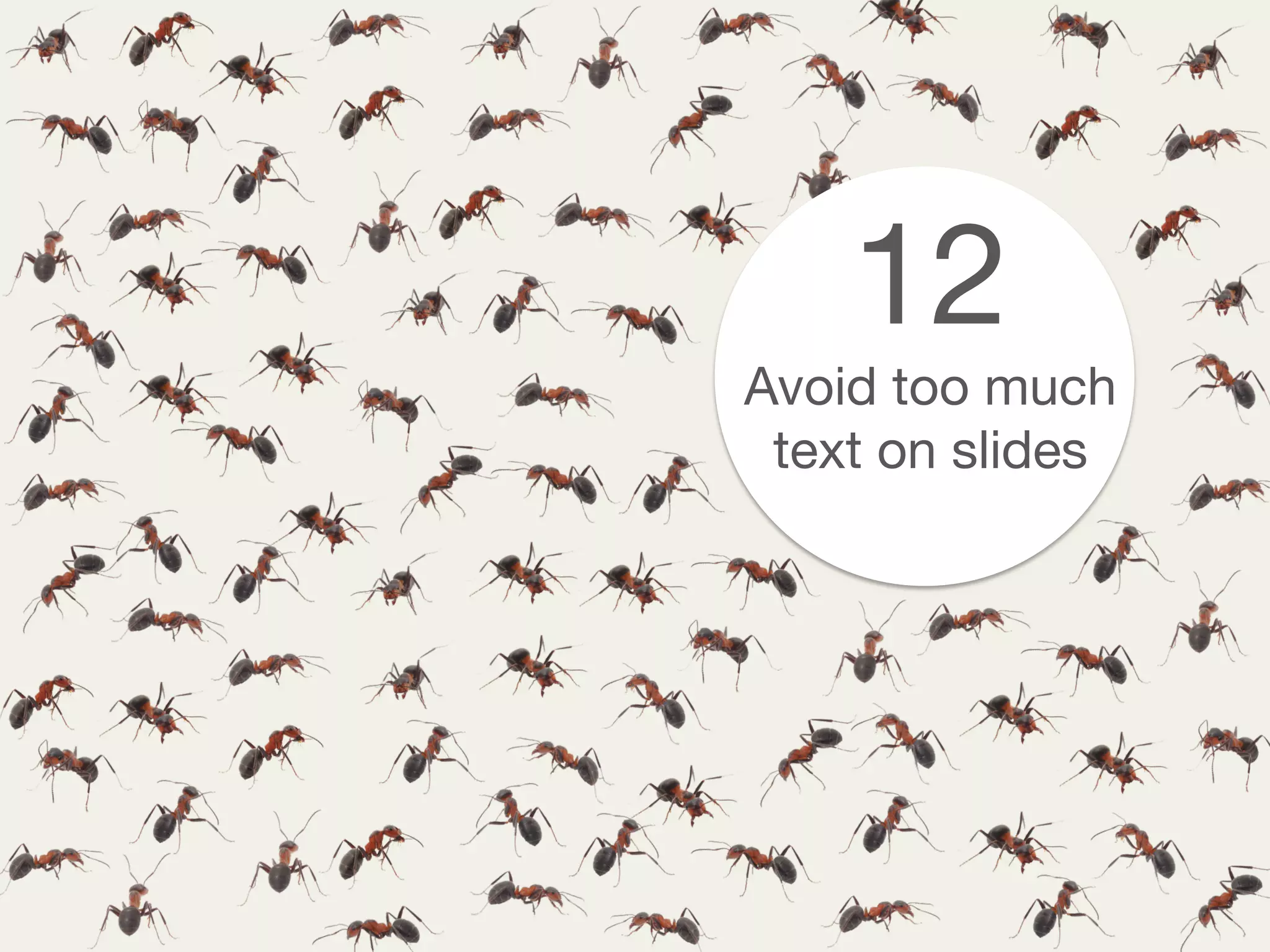 12
Avoid too much
text on slides