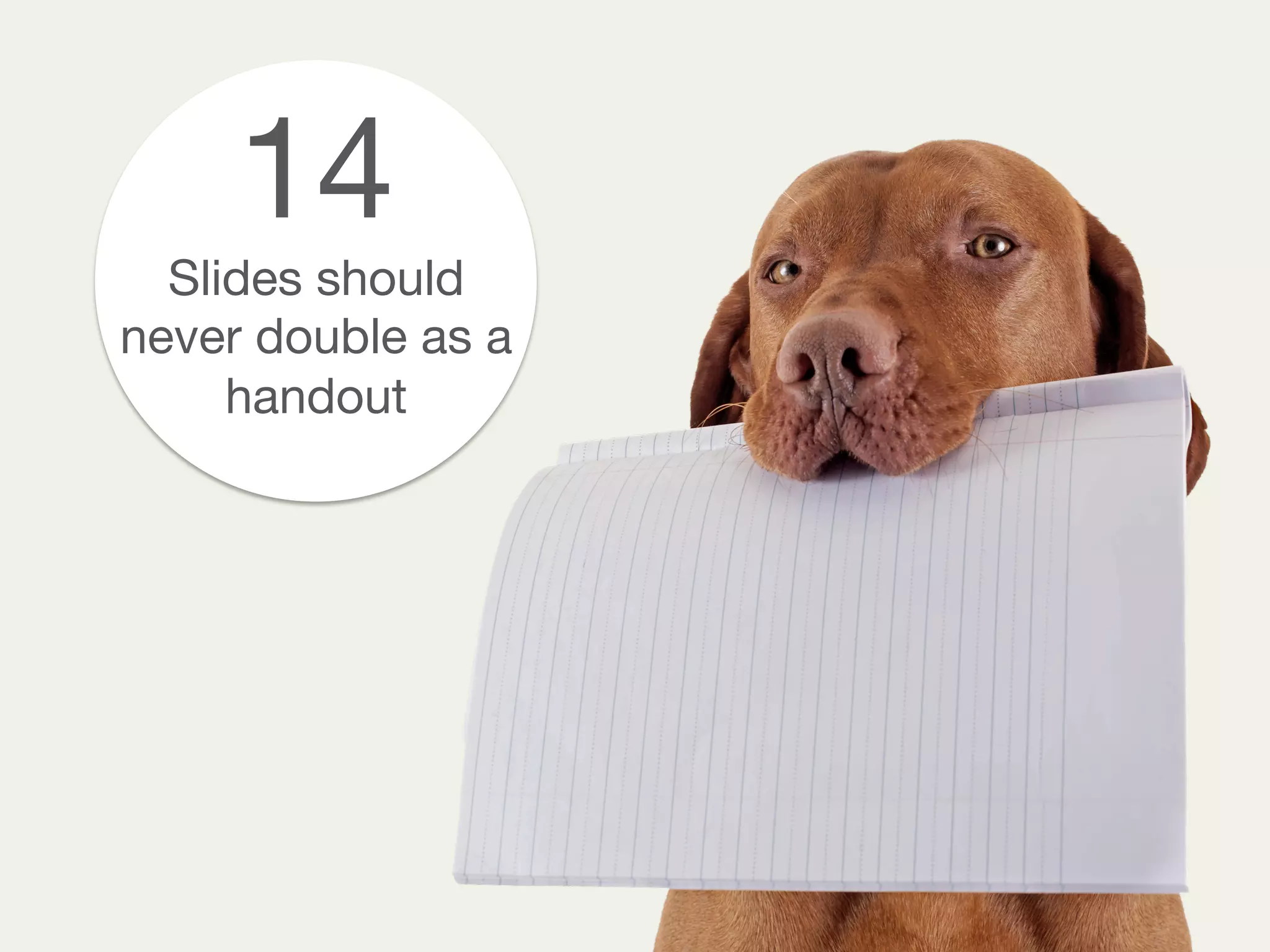 14
Slides should
never double as a
handout