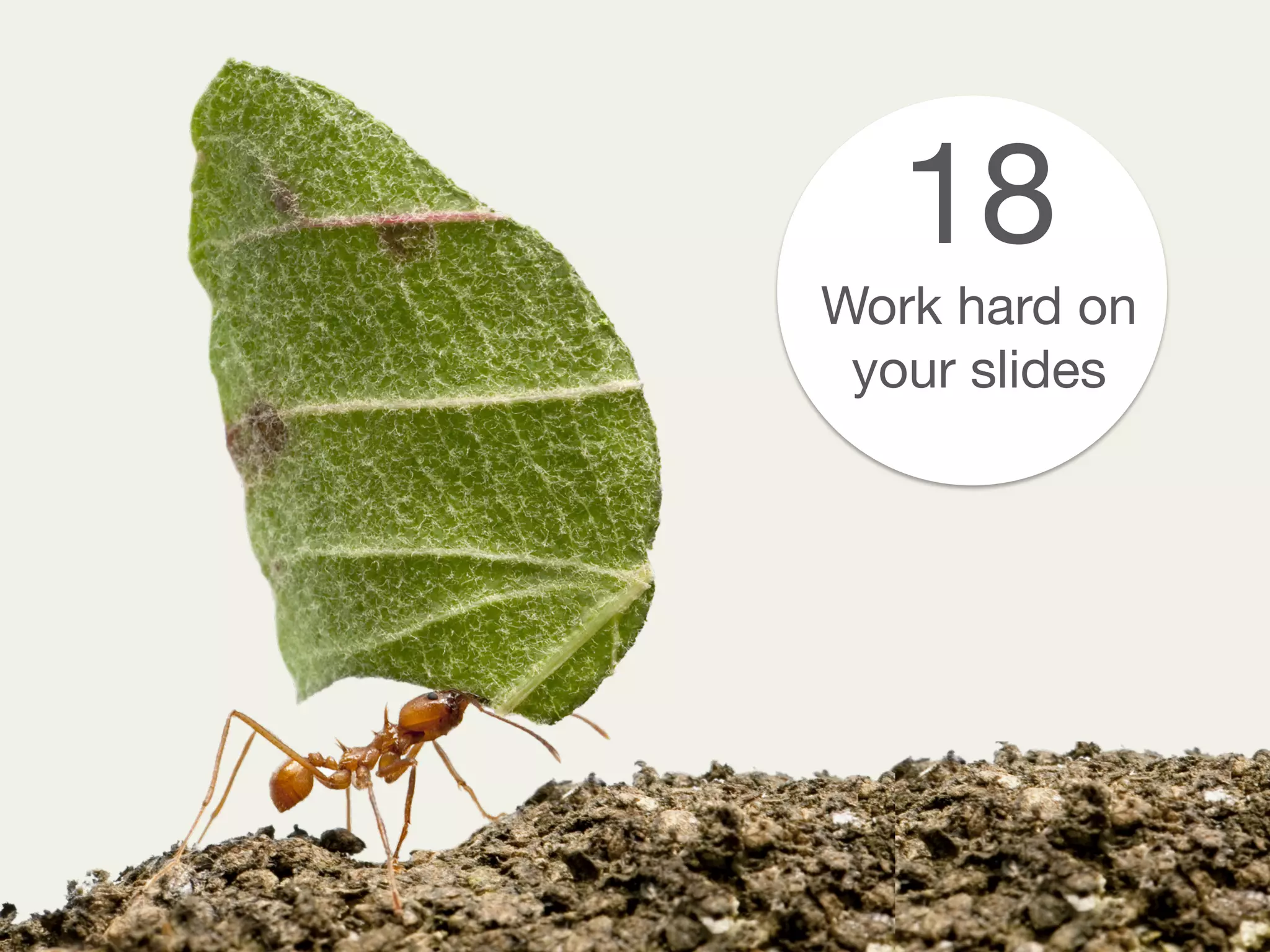 18
Work hard on
your slides