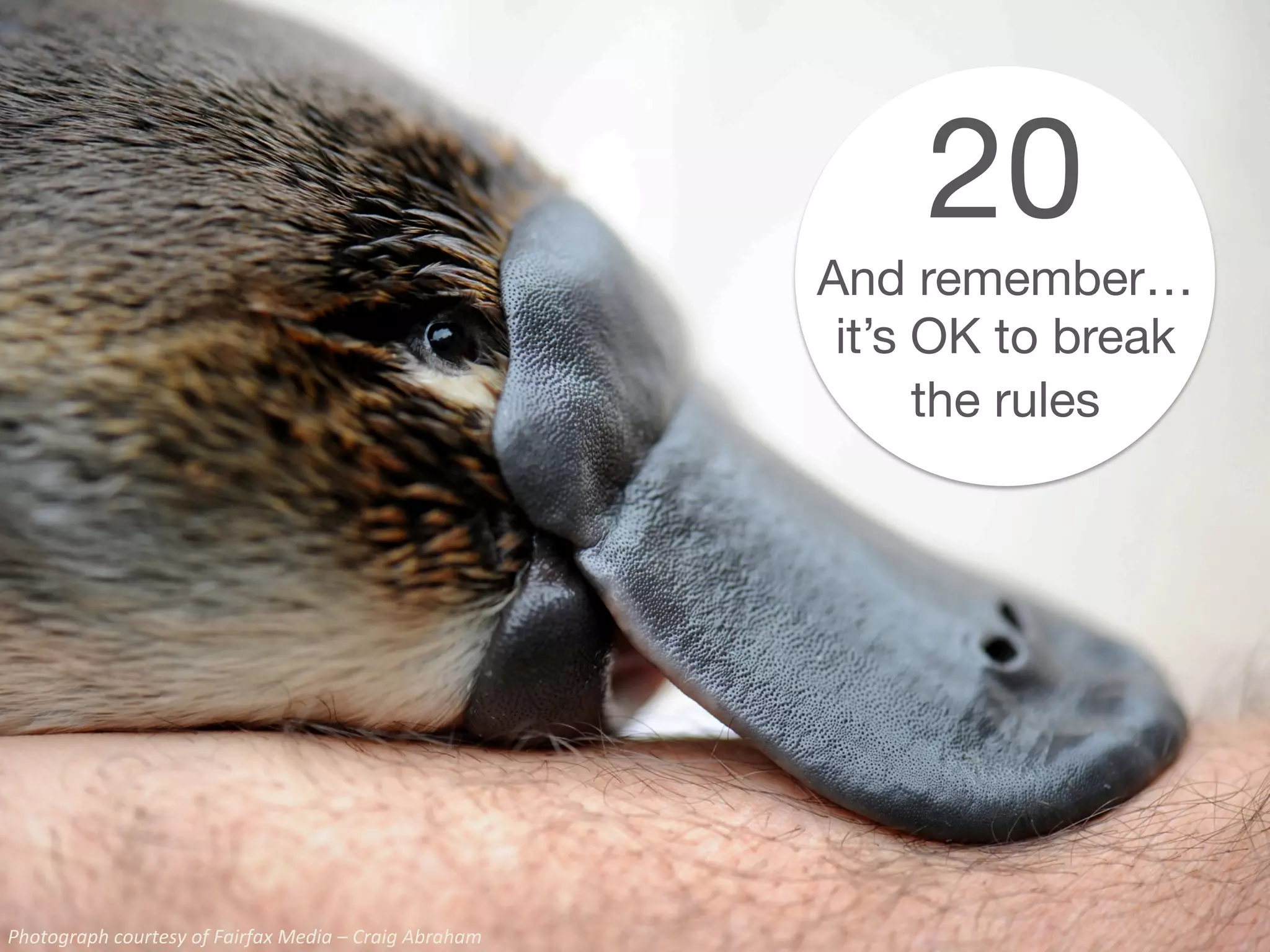 Photograph
courtesy
of
Fairfax
Media
–
Craig
Abraham
20
And remember…
it’s OK to break
the rules