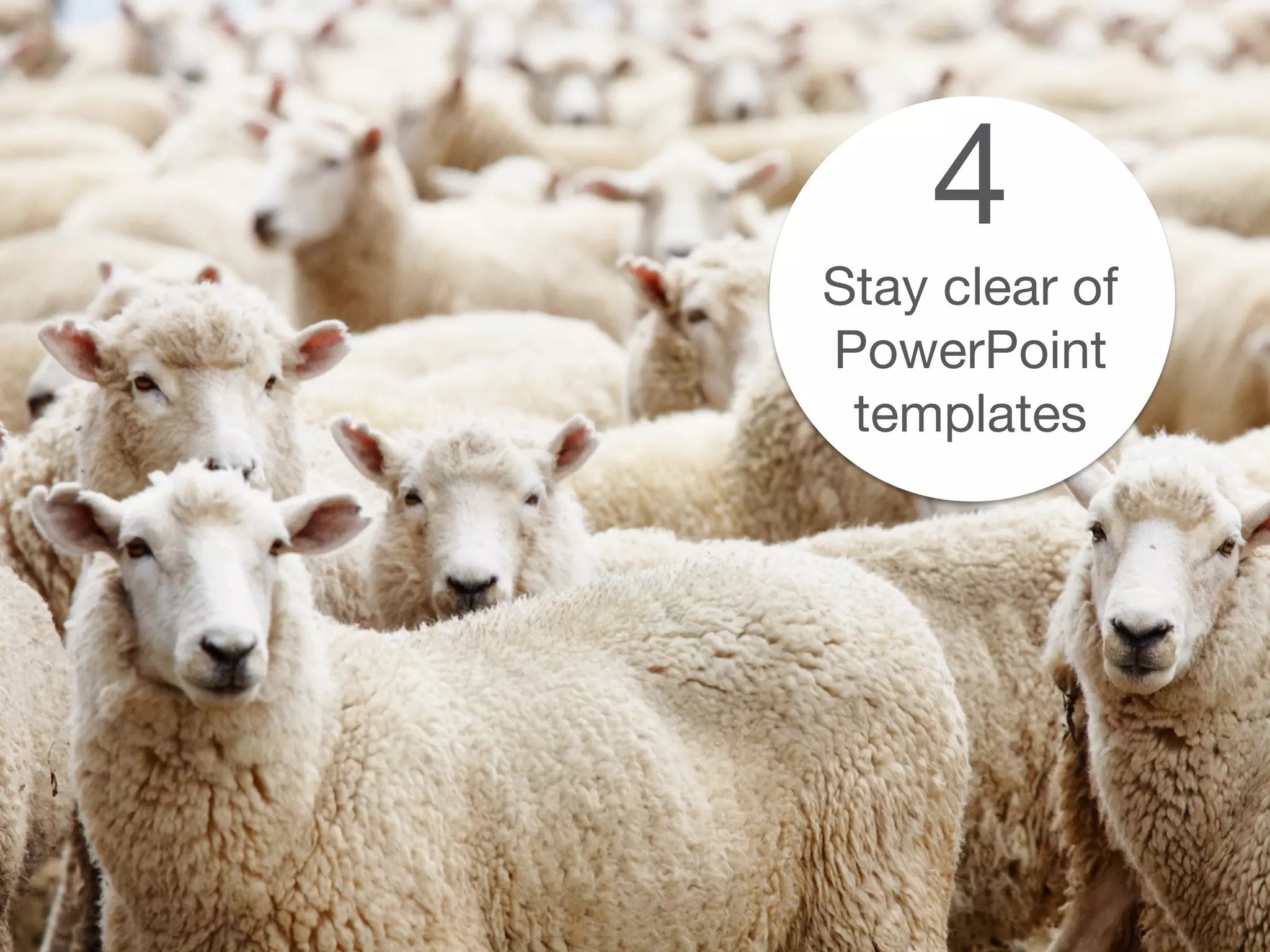 4
Stay clear of
PowerPoint
templates