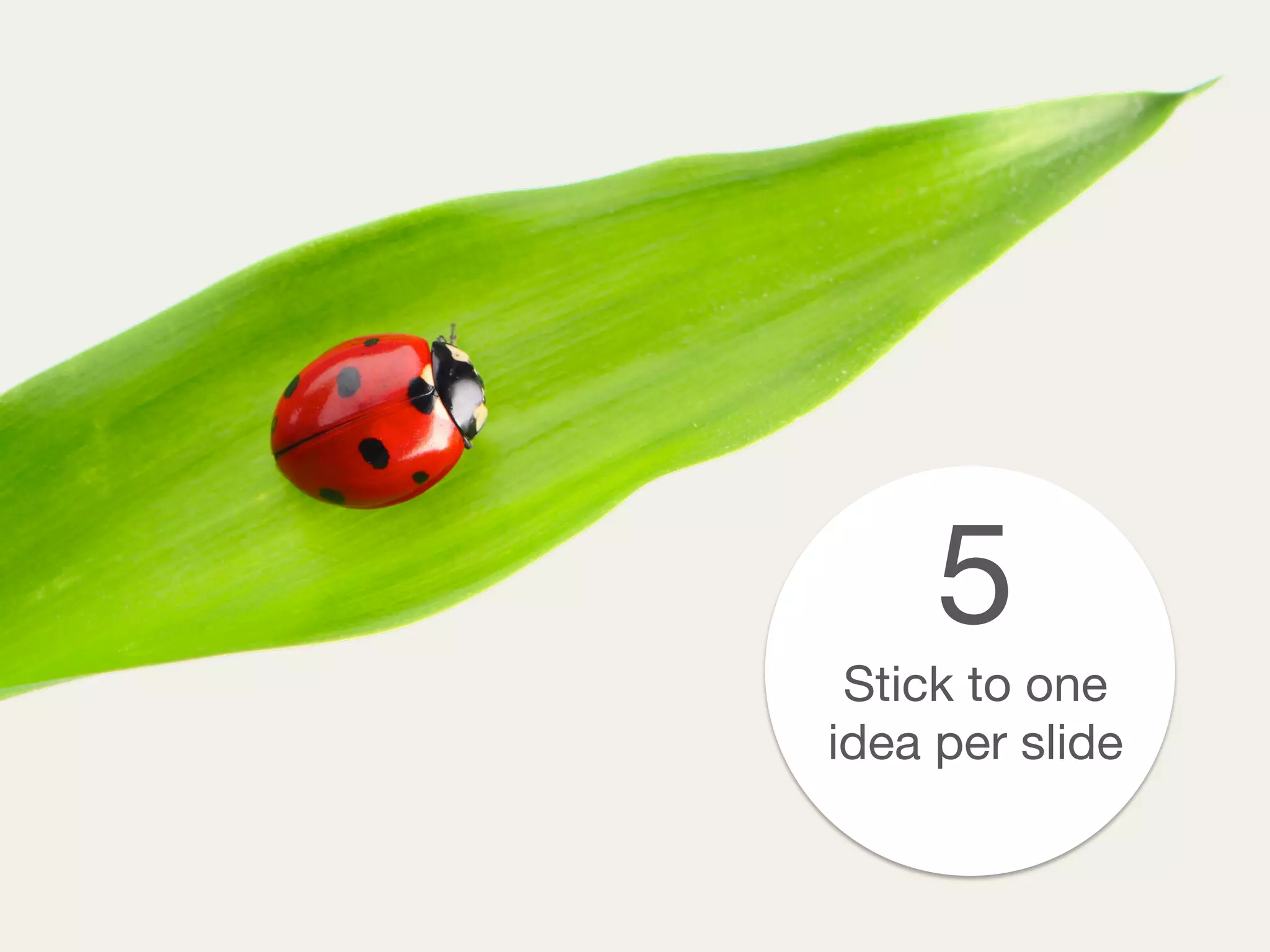 5
Stick to one
idea per slide