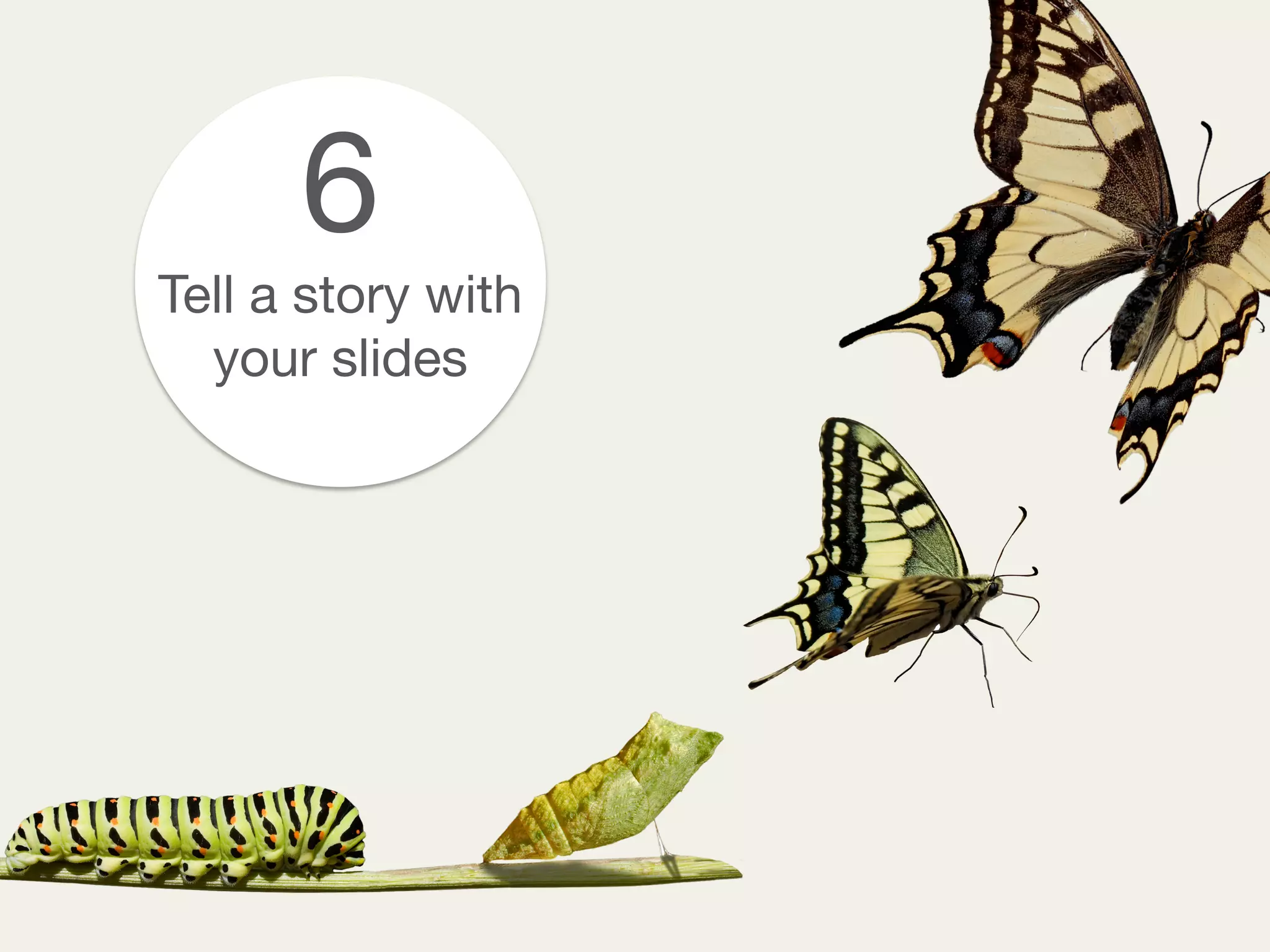 6
Tell a story with
your slides
