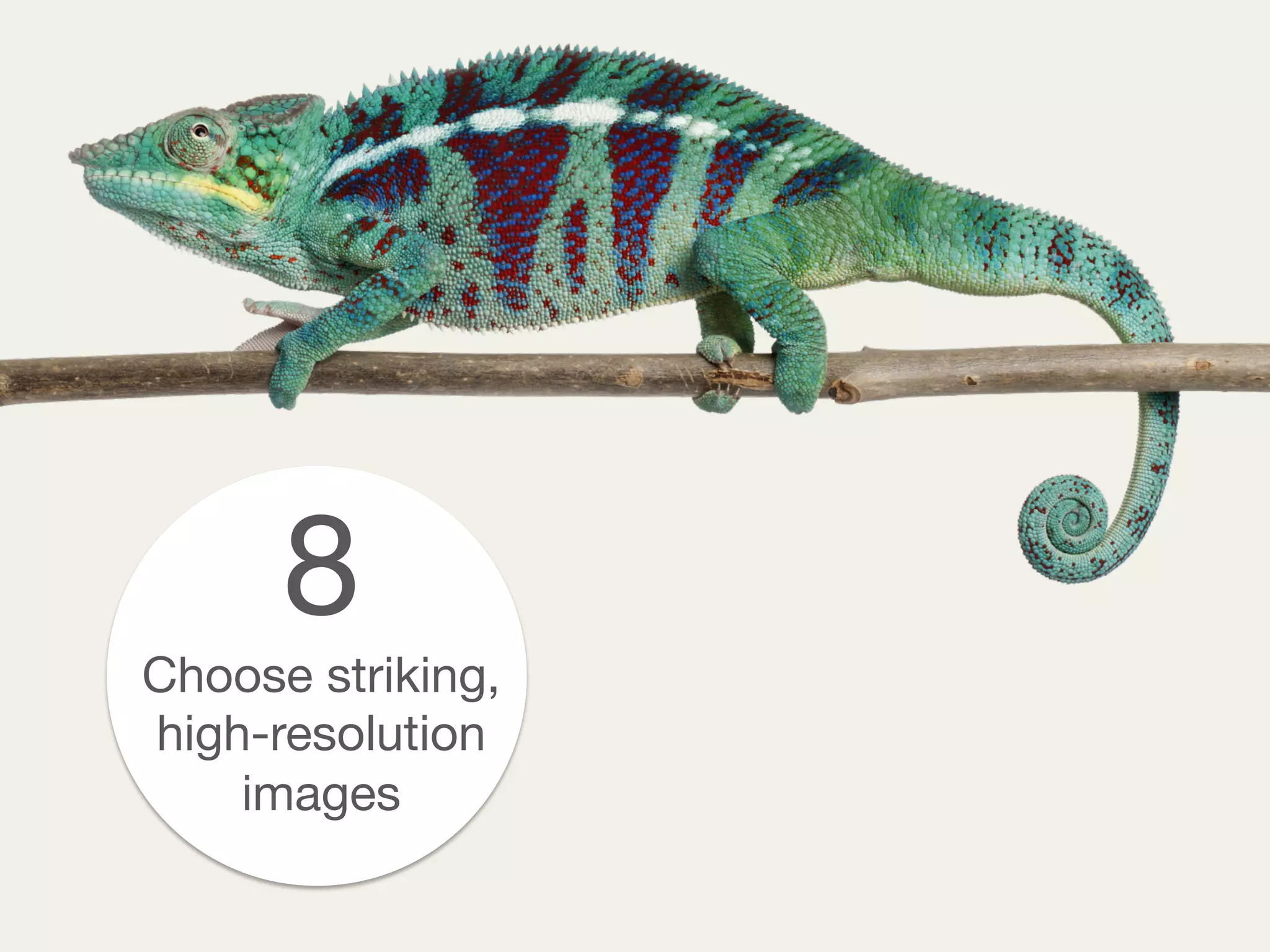8
Choose striking,
high-resolution
images