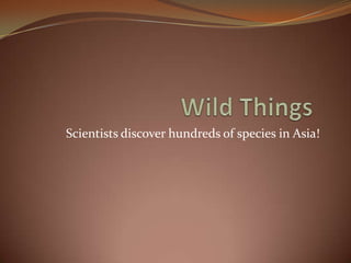 Wild Things	 Scientists discover hundreds of species in Asia! 