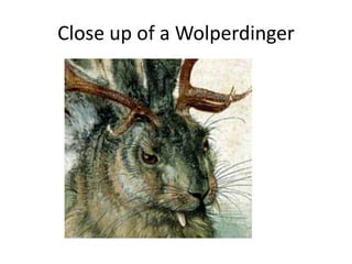 Close up of a Wolperdinger
 