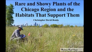 Rare and Showy Plants of the
Chicago Region and the
Habitats That Support Them
Christopher David Benda
Montrose Beach Dunes
 
