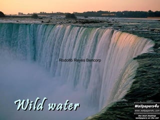 Wild waterWild water
Rodolfo Reyes Bencorp
 