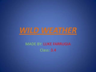 WILD WEATHER MADE BY: LUKE FARRUGIA Class: 3.4 