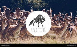 Wild Youth - Welcome to the Wild
