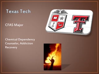 Josiah Wiles Visual Resume | PDF