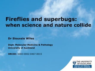 Fireflies and superbugs:
when science and nature collide

Dr Siouxsie Wiles

Dept. Molecular Medicine & Pathology
University of Auckland

ORCID: 0000-0002-0467-0015
 