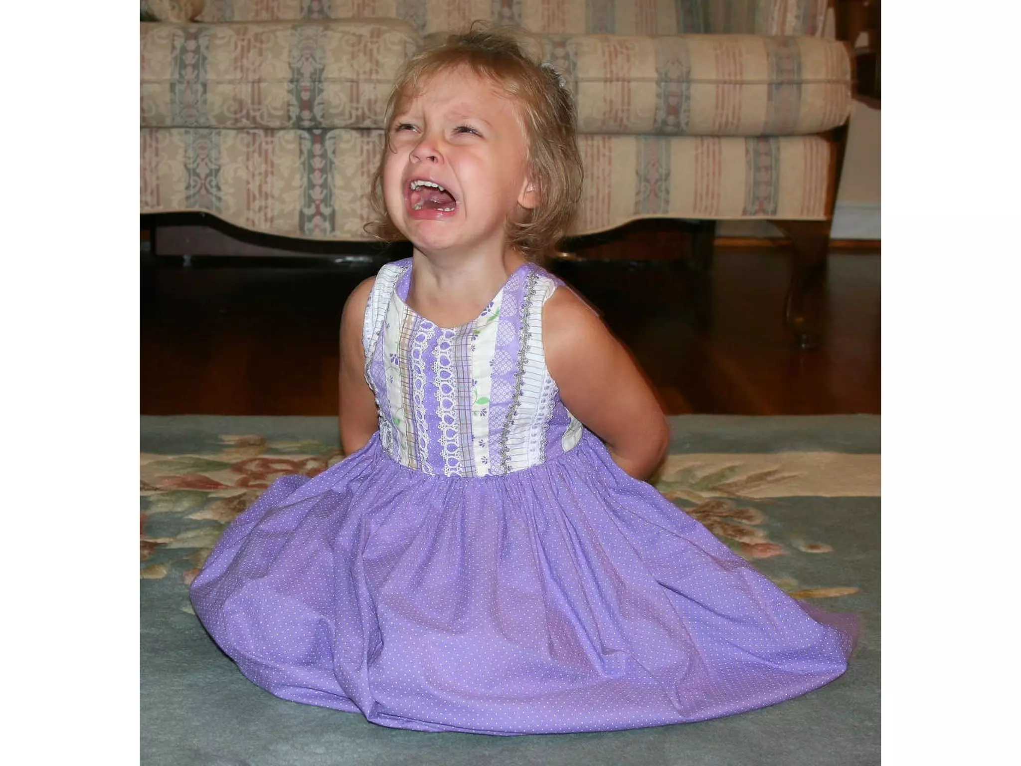 Your Inner Two-year Old Overcoming the impulse to scream “ Mine!” 