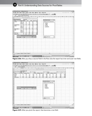 Figure 2-36: After you drop a second field in the Row area the report has inner and outer row fields.
Figure 2-37: After you pivot the report, Size becomes a row field.
Part II: Understanding Data Sources for PivotTables
58
 