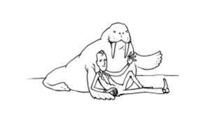 Wilhelm Joyce Andersen: CMS-debate