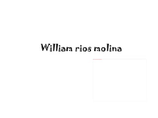   William rios molina 